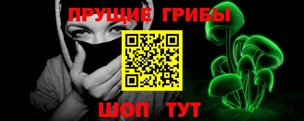 Красногорск  Псилоцибиновые грибы Cubensis  Вход с VPN 